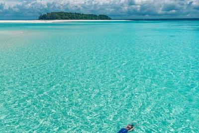 Tour de snorkel y delfines en Mnemba