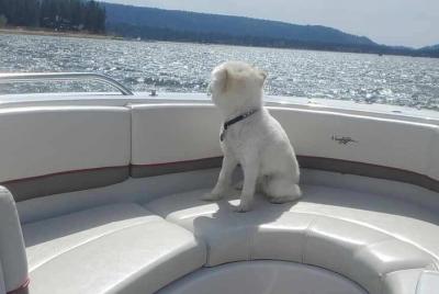 Caminata privada en Big Bear con experiencia de natación en el la