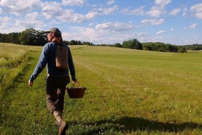 Búsqueda de comida guiada: experiencias de caza de hongos