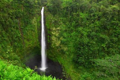 Excursión a la costa de Kona: tubos de lava, cascadas y rancho Pa