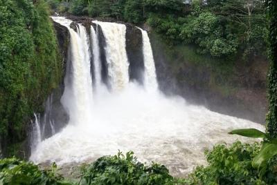 Tour por la isla grande: tour por Hilo con cascada