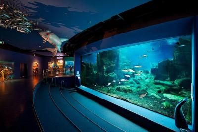 Entrada al acuario de Estambul, almuerzo y compras en Aqua Florya