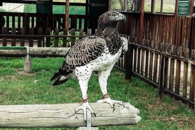 Tour de vinos para grupos pequeños