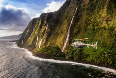Recorrido en helicóptero con aterrizaje en Kohala y volcán en la  Recorrido en helicóptero con aterrizaje en Kohala y volcán en la