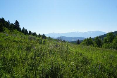 Caminata a Chimney Rock con un guía turístico entusiasta