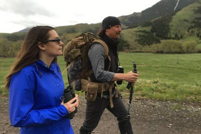 Tour de excursión Sundowner Grizzly