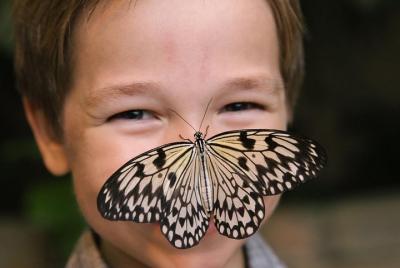 Entrada al Palacio de Mariposas Branson
