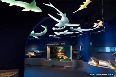 Entradas al acuario de Nueva York Entradas al acuario de Nueva York