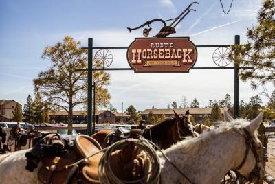 Paseo de 1,5 horas por Ruby  Paseo de 1,5 horas por Ruby's Horseback Adventures Utah