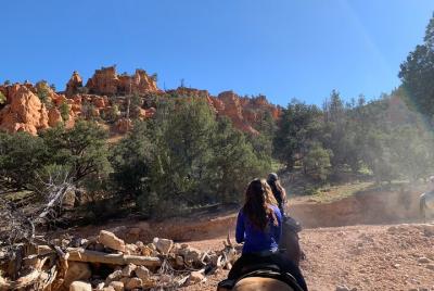 Paseo de medio día de Ruby Paseo de medio día de Ruby's Horseback Adventures Utah