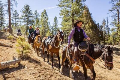 Aventuras a caballo de Ruby Utah Thunder Mt. Paseo de 4 horas Aventuras a caballo de Ruby Utah Thunder Mt. Paseo de 4 horas