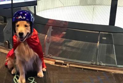 Experiencia de paracaidismo en interiores de Oceanside con 2 vuel