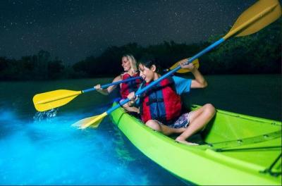 Tour de Kayak de Cocoa Beach Night Time Bioluminiscencia