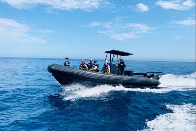 Tour con delfines en Oceanside