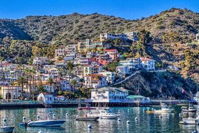 Descubre Avalon: tour panorámico de Catalina Descubre Avalon: tour panorámico de Catalina