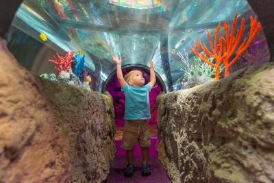 Entrada a SEA LIFE Charlotte Concord Aquarium Entrada a SEA LIFE Charlotte Concord Aquarium