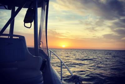 Reel Runner Gulf Adventures-Beach Excursiones Reel Runner Gulf Adventures-Beach Excursiones