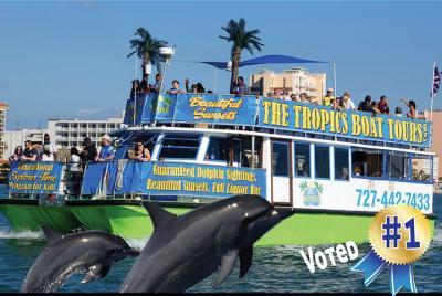 Excursión de avistamiento de delfines en Clearwater Excursión de avistamiento de delfines en Clearwater