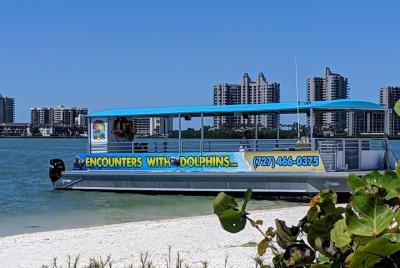 Clearwater Encounters with Dolphins Tour Clearwater Encounters with Dolphins Tour