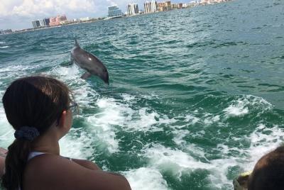 Little Toot Dolphin Adventure en Clearwater Beach Little Toot Dolphin Adventure en Clearwater Beach