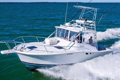 Reel Runner Gulf Adventures-Opciones de charters de pesca Reel Runner Gulf Adventures-Opciones de charters de pesca