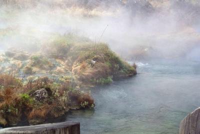 Tour privado y fotográfico de Yellowstone, que admite mascotas Tour privado y fotográfico de Yellowstone, que admite mascotas