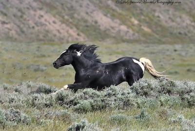 Tour Red Canyon Mustang 8:30 am ¡TOURS PRIVADOS DISPONIBLES! Tour Red Canyon Mustang 8:30 am ¡TOURS PRIVADOS DISPONIBLES!