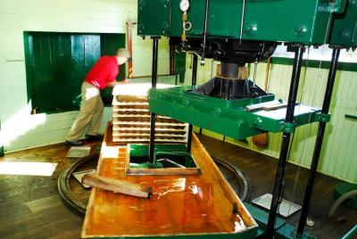 Lugares turísticos en Cooperstown  Cosas que hacer en Cooperstown  497965296