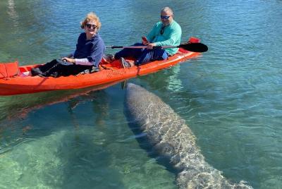 Tour ecológico en kayak y natación Three Sisters Springs Crystal 