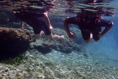 Eco-Tour guiado - Kayak o Paddleboard - Nade con manatíes