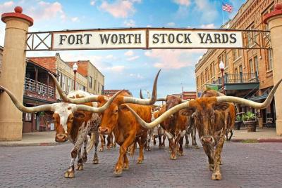 Tour privado de lo mejor de Fort Worth Tour privado de lo mejor de Fort Worth