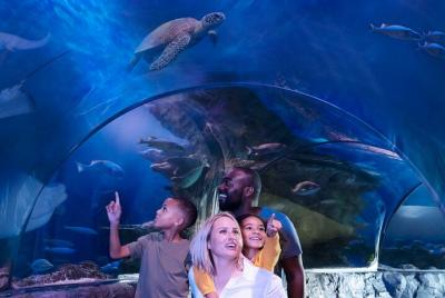 Entrada a SEA LIFE Aquarium Dallas Entrada a SEA LIFE Aquarium Dallas