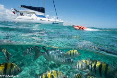 Crucero privado de medio día con todo incluido - en Cancún
