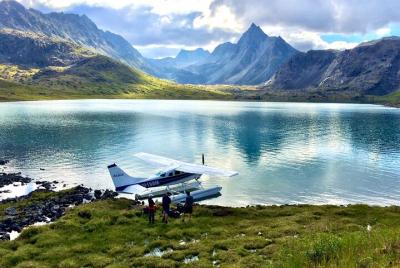 Lugares turísticos en Denali National Park  Cosas que hacer en Denali National Park  497955113