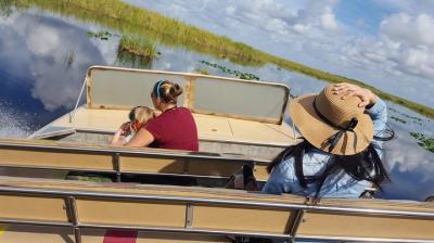 Aventura de día completo con guía naturalista en los Everglades:  Aventura de día completo con guía naturalista en los Everglades: