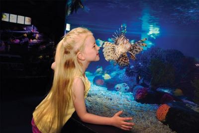 Lugares turísticos en Detroit  Cosas que hacer en Detroit  497956122