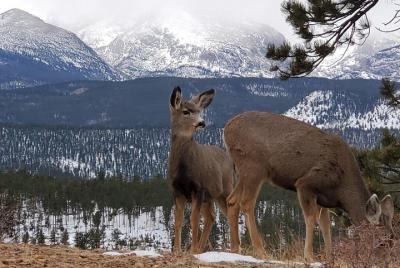 Tour del Valle Inferior RMNP Tour del Valle Inferior RMNP
