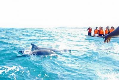 Excursión de un día a Cayo Hueso desde Miami Excursión de un día a Cayo Hueso desde Miami