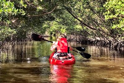 Túnel de manglares Kayak Eco Tour