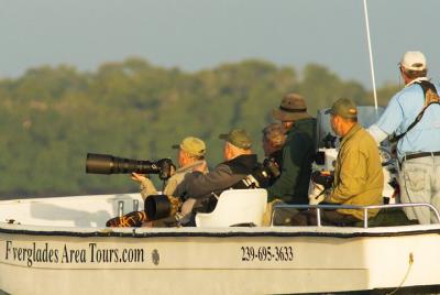 Excursión en barco de dos horas al Parque Nacional Everglades Delfines, observación de aves y vida salvaje Excursión en barco de dos horas al Parque Nacional Everglades Delfines, observación de aves y vida salvaje
