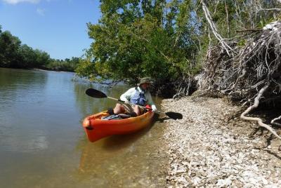 Parque Nacional Everglades Kayak Eco Tour desde Naples Parque Nacional Everglades Kayak Eco Tour desde Naples