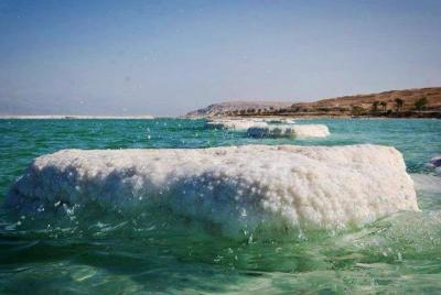 Traslado desde el aeropuerto de Amman al Hotel Dead Sea