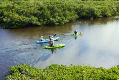 Kayak por los canales de Venecia, FL