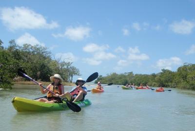 Tour guiado en kayak ecológico en Florida
