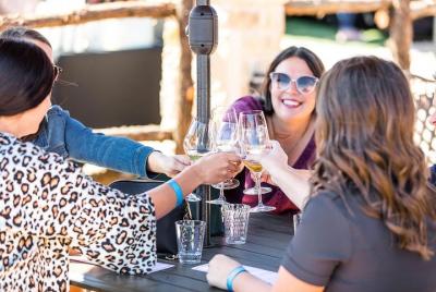 Visita guiada de medio día a las bodegas y viñedos del norte de T Visita guiada de medio día a las bodegas y viñedos del norte de T