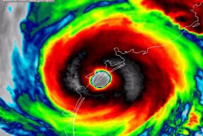 Recorrido en autobús histórico por huracanes y esculturas de árbo