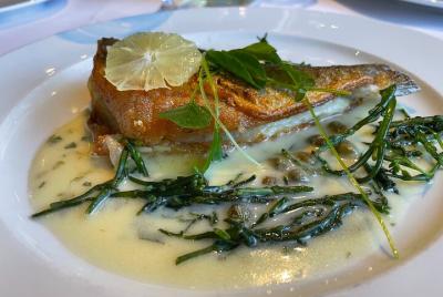 Transporte de cena en Napa o Sonoma