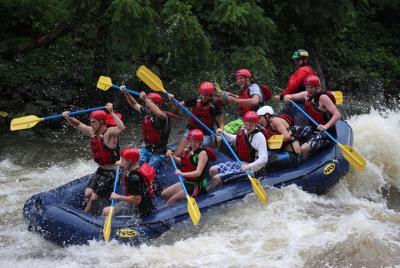 Experiencia de rafting en aguas bravas en el río Upper Pigeon Experiencia de rafting en aguas bravas en el río Upper Pigeon