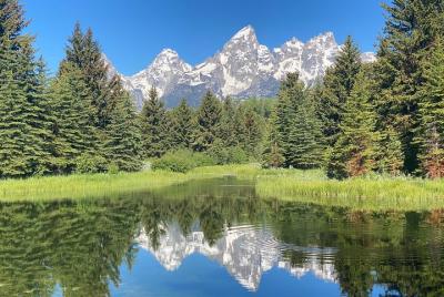 Picnic privado de día completo en el Parque Nacional Grand Teton