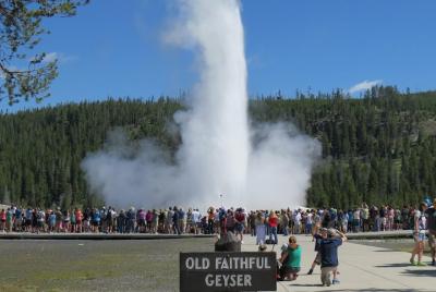 Parque Nacional de Yellowstone - Tour PRIVADO de día completo por